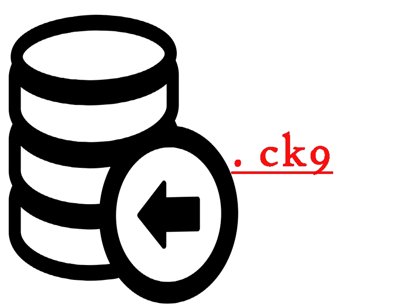 Файл с расширением ck9 Файл с расширением ck9